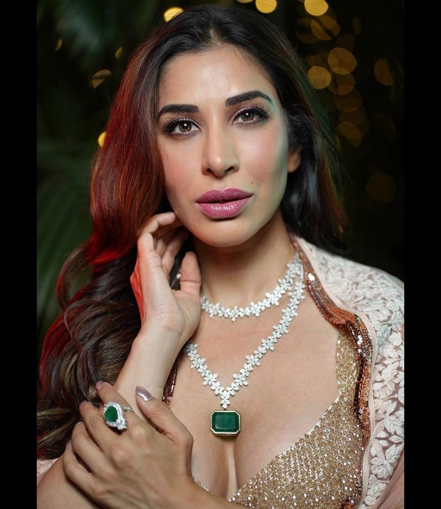 Sophie Choudry 13