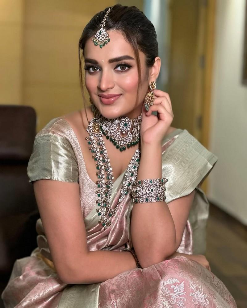 Nidhhi Agerwal 5