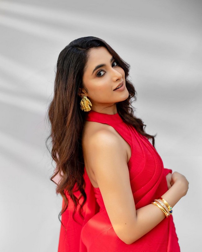 Priyanka Mohan Looking Pretty in Red Dress