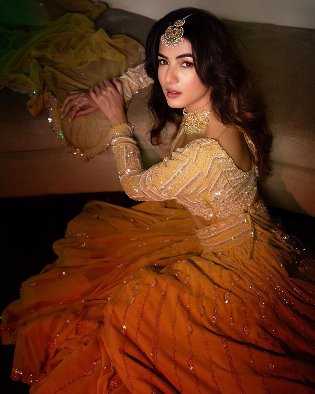 Sonal Chauhan Looking Pretty in Dress
