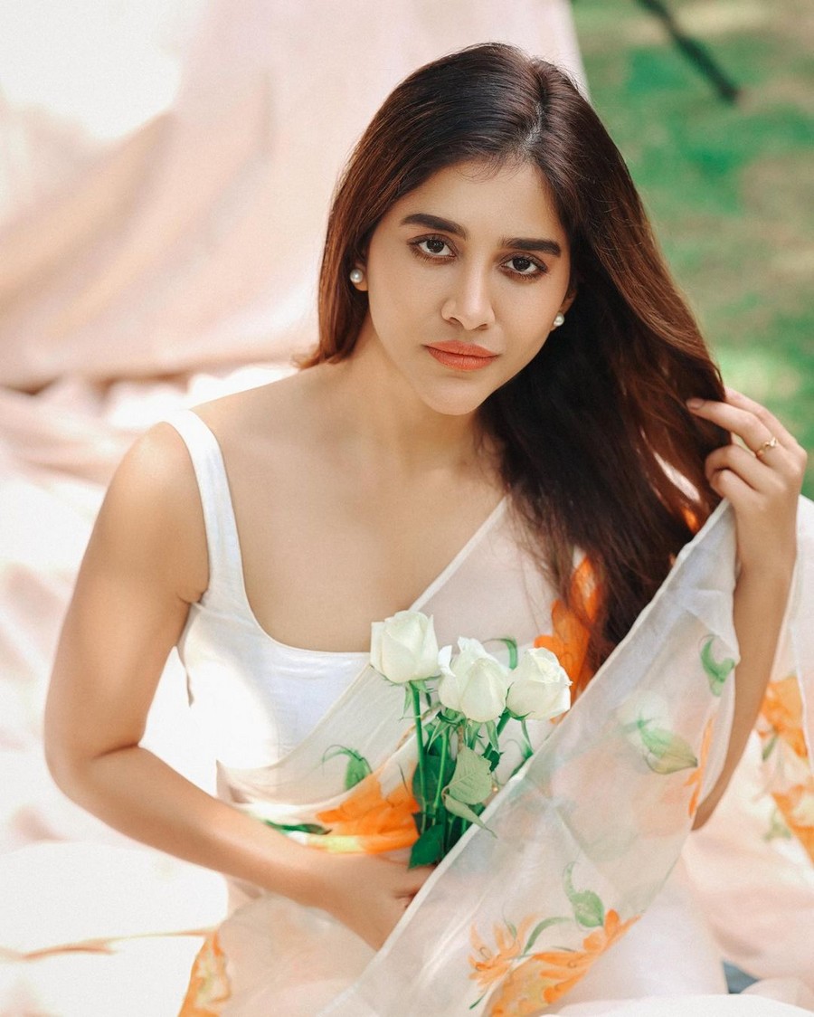 Nabha Natesh Looks Hot in White Floral Saree