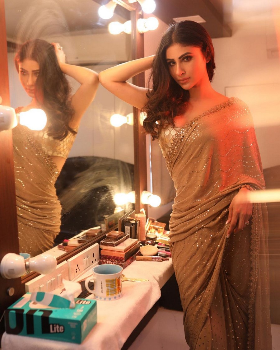 Mouni Roy Attractive Looks in Shiny Saree