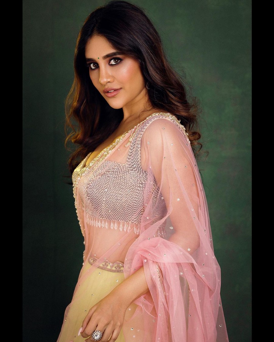 Actress Nabha Natesh Stylish Looking in Dress