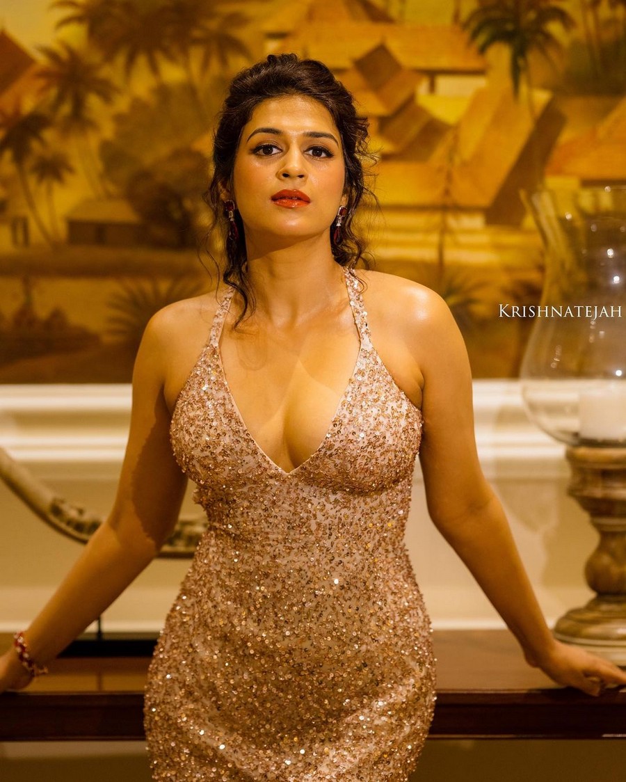 Shraddha Das Sexy Stills in Shiny Dress