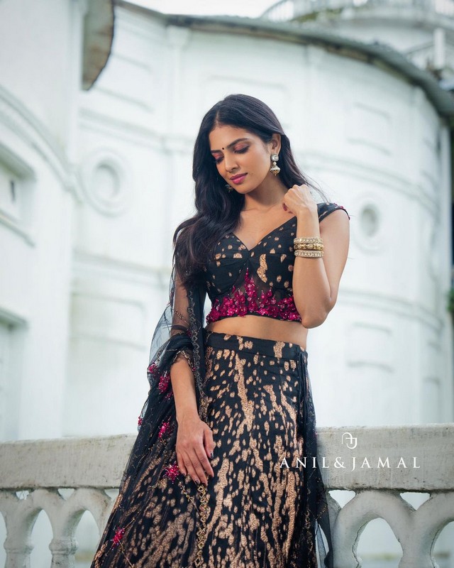 Malavika Mohanan Looks Fabulous in Designer Dress