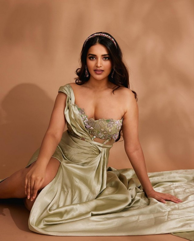 Nidhhi Agerwal Awesome Looks in Shiny Outfit