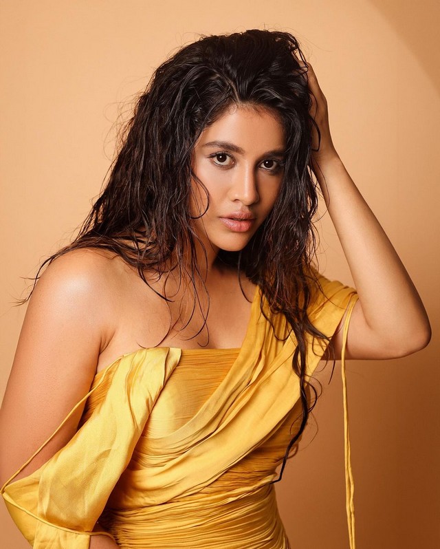 Glamorous Looks Of Nabha Natesh in Shiny Gold Dress