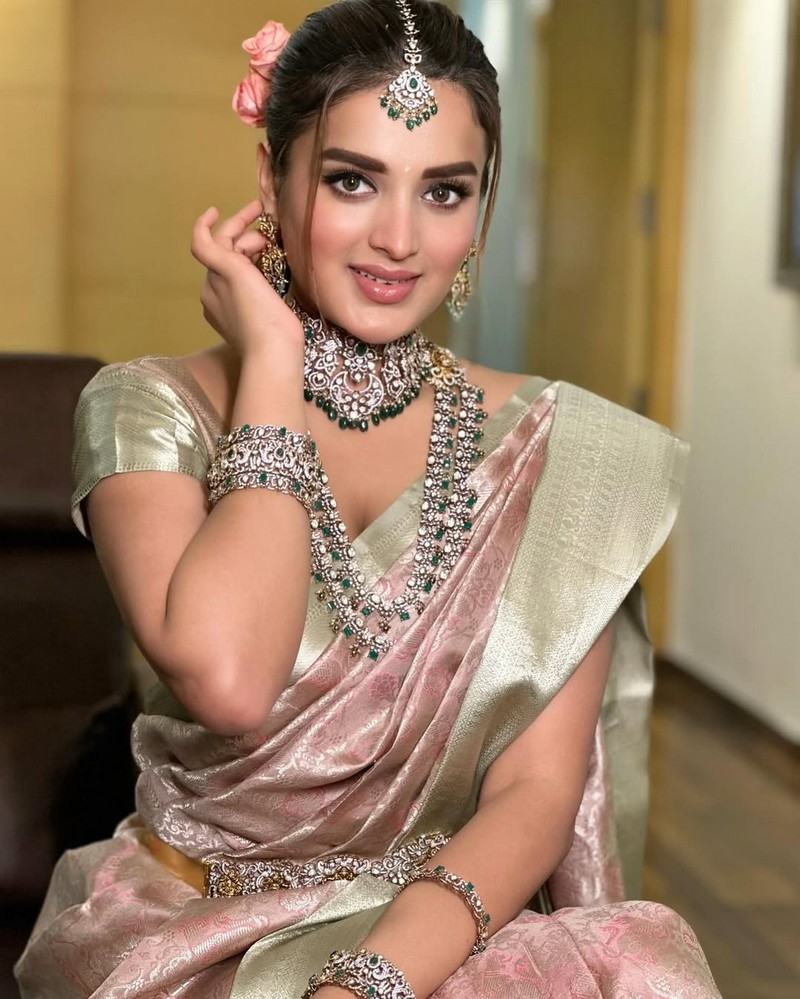 Nidhhi Agerwal Traditional Looks in Silk Saree